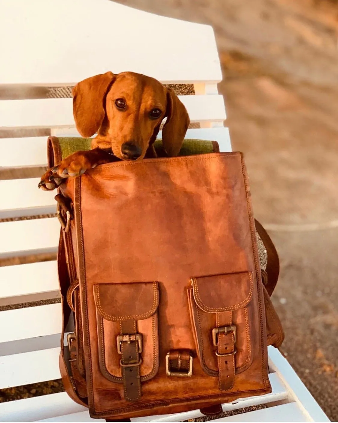 Leather Gym Backpack 16"